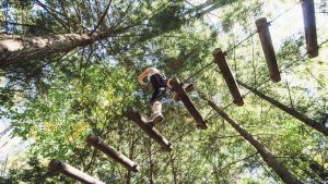 Tree To Tree Adventure Park Idaho