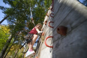 Tree To Tree Adventure Park Idaho