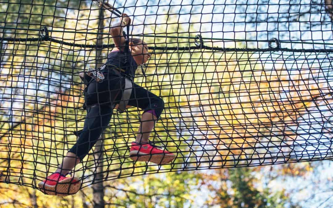 Tree To Tree Adventure Park Idaho