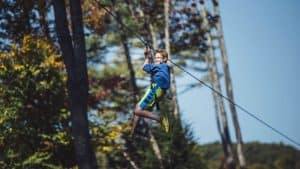 Tree To Tree Adventure Park Idaho