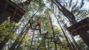 Tree To Tree Adventure Park Idaho