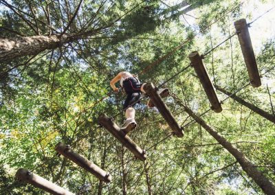 Tree To Tree Adventure Park Idaho