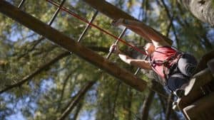 Tree To Tree Adventure Park Idaho