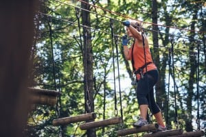 Tree To Tree Adventure Park Idaho