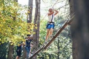 Tree To Tree Adventure Park Idaho