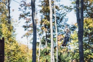 Tree To Tree Adventure Park Idaho