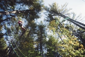 Tree To Tree Adventure Park Idaho