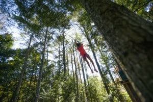 Tree To Tree Adventure Park Idaho