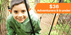 Tree To Tree Adventure Park Idaho