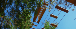 Tree To Tree Adventure Park Idaho